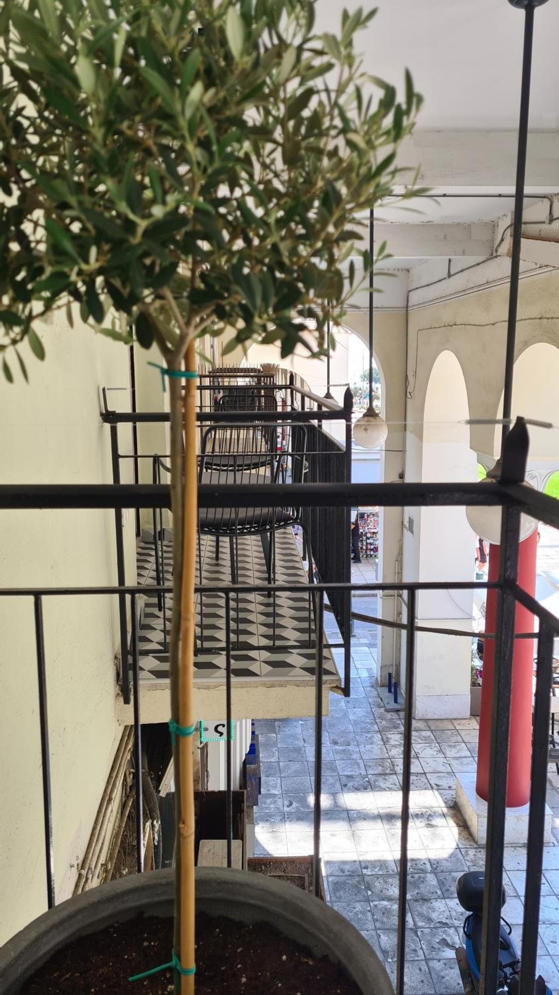 Μerάκι Aristotelous Sq Thessaloníki Luaran gambar